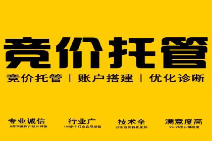 百度SEO推广策略案例：一家公司的成功转型之路